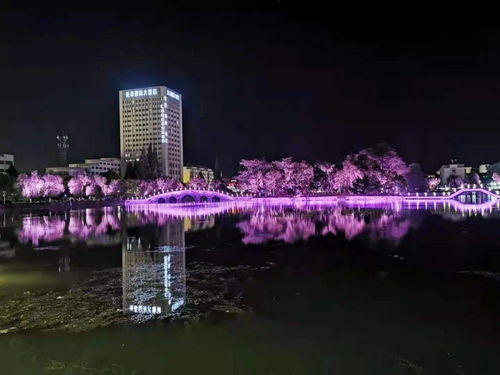 別端著，嗨起來(lái)！長(zhǎng)豐六條精品旅游線路邀您來(lái)打卡